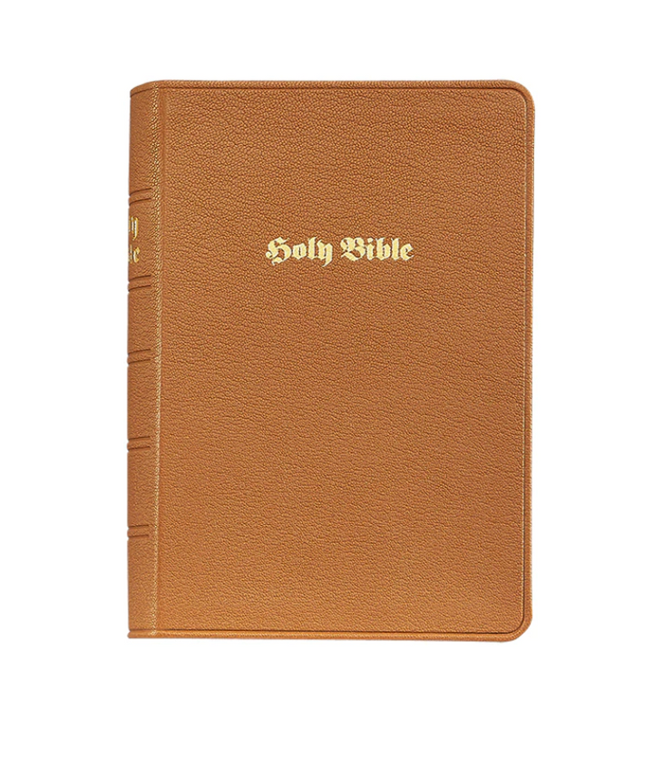 The Holy Bible (Leather Bound)