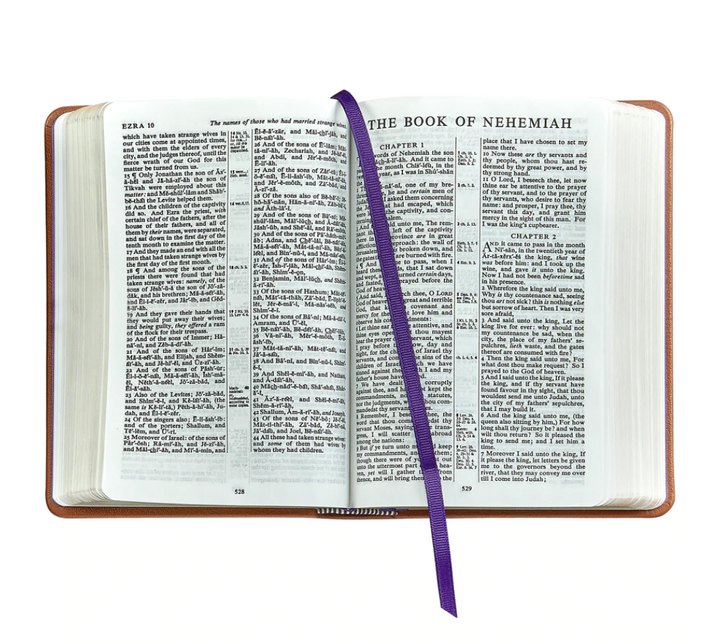 The Holy Bible (Leather Bound)