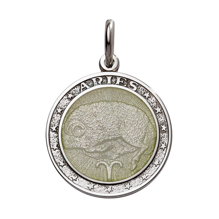 Silver Enameled Zodiac Pendant