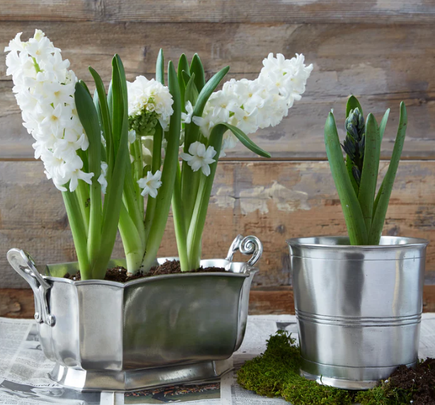 Vaso by Match Pewter