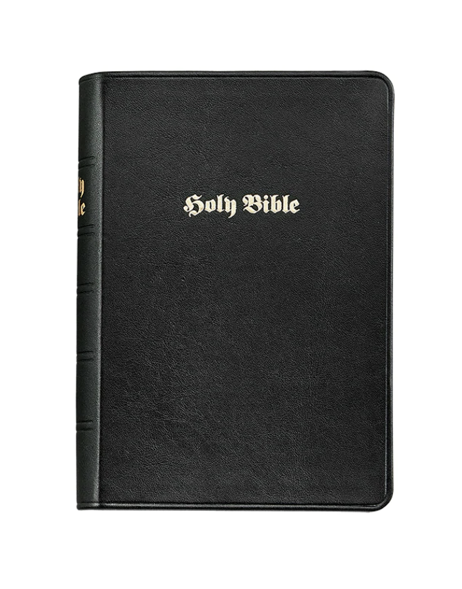The Holy Bible (Leather Bound)